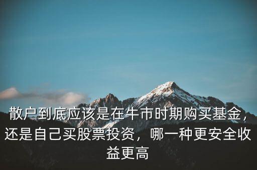散戶到底應(yīng)該是在牛市時(shí)期購(gòu)買(mǎi)基金，還是自己買(mǎi)股票投資，哪一種更安全收益更高