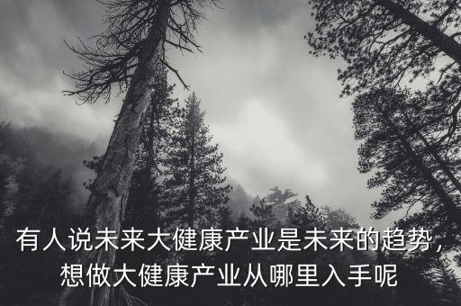 有人說未來大健康產(chǎn)業(yè)是未來的趨勢，想做大健康產(chǎn)業(yè)從哪里入手呢