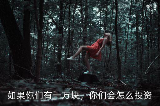 如果你們有一萬(wàn)塊，你們會(huì)怎么投資