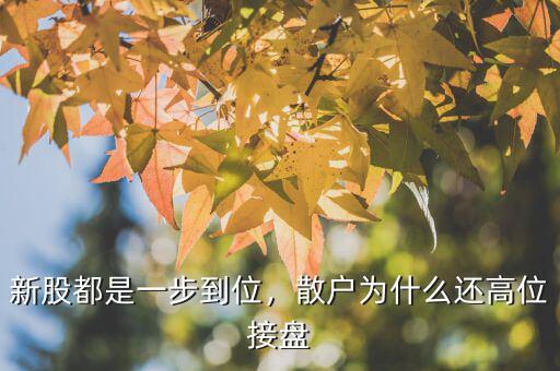 新股都是一步到位，散戶為什么還高位接盤