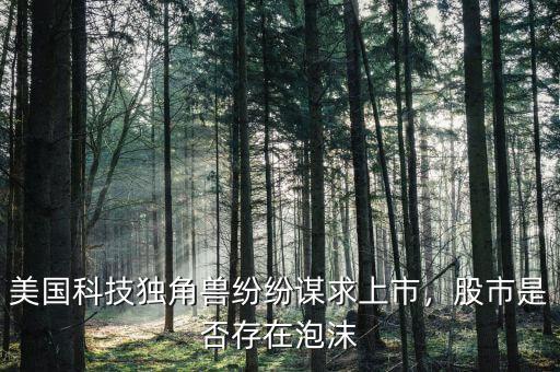 美國科技獨(dú)角獸紛紛謀求上市，股市是否存在泡沫