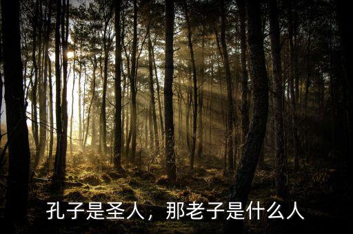 孔子是圣人，那老子是什么人