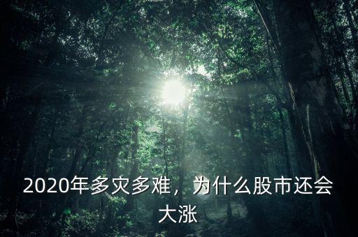 2020年多災(zāi)多難，為什么股市還會(huì)大漲