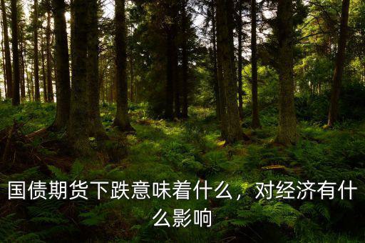 國債期貨什么意思,對經(jīng)濟(jì)有什么影響