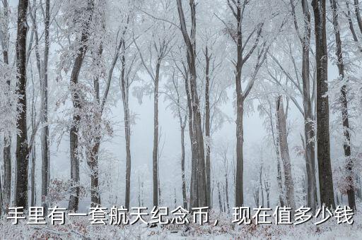 手里有一套航天紀(jì)念幣，現(xiàn)在值多少錢