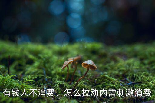 美國富人怎么消費,怎么拉動內需刺激消費