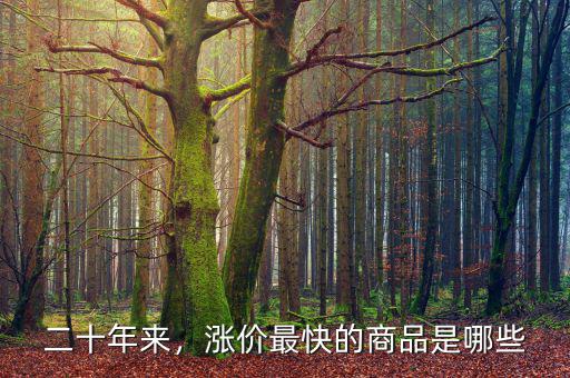 二十年來，漲價最快的商品是哪些