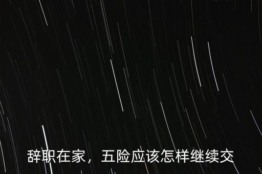 辭職在家，五險(xiǎn)應(yīng)該怎樣繼續(xù)交