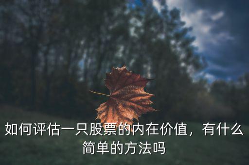 如何評(píng)估一只股票的內(nèi)在價(jià)值，有什么簡(jiǎn)單的方法嗎