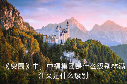 《突圍》中，中福集團是什么級別林滿江又是什么級別