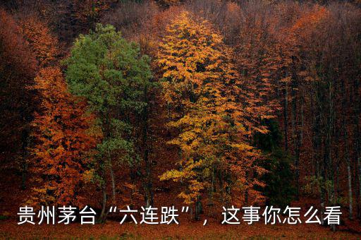 貴州茅臺(tái)“六連跌”，這事你怎么看