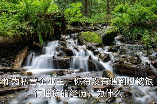 作為私營企業(yè)主，你有沒有遇到過被銀行抽貸的經(jīng)歷，為什么
