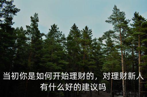 當(dāng)初你是如何開始理財?shù)?，對理財新人有什么好的建議嗎