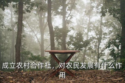 成立農(nóng)村合作社，對農(nóng)民發(fā)展有什么作用