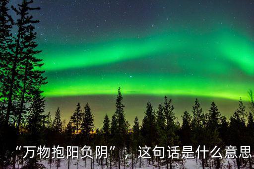 “萬物抱陽負陰”，這句話是什么意思