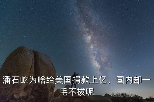 潘石屹為啥給美國捐款上億，國內(nèi)卻一毛不拔呢