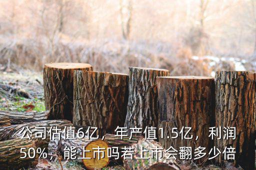 公司估值6億，年產(chǎn)值1.5億，利潤50%，能上市嗎若上市會翻多少倍