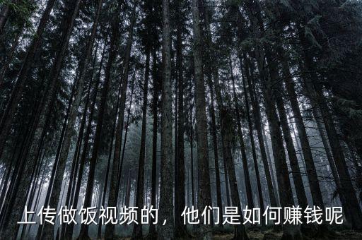 上傳做飯視頻的，他們是如何賺錢呢