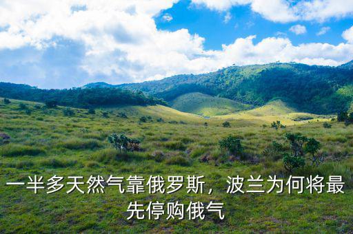 一半多天然氣靠俄羅斯，波蘭為何將最先停購(gòu)俄氣