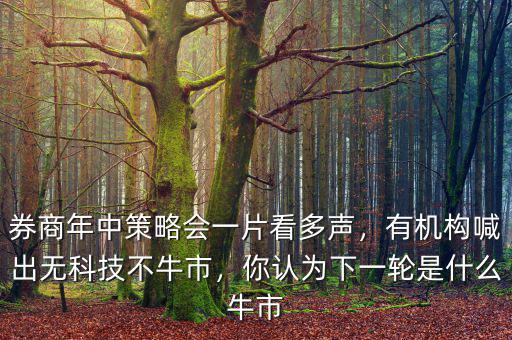 券商年中策略會一片看多聲，有機構喊出無科技不牛市，你認為下一輪是什么牛市