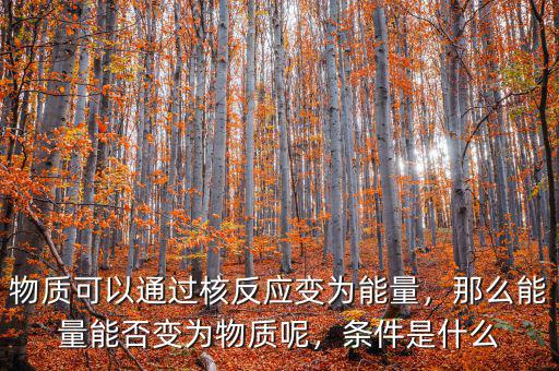 物質(zhì)可以通過核反應(yīng)變?yōu)槟芰?，那么能量能否變?yōu)槲镔|(zhì)呢，條件是什么
