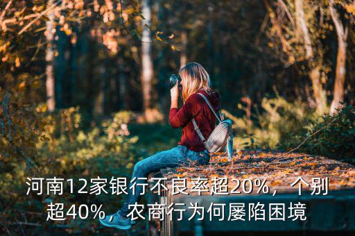 河南12家銀行不良率超20%，個別超40%，農(nóng)商行為何屢陷困境