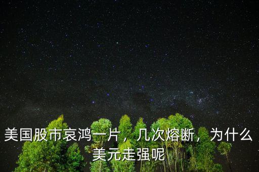 美國股市哀鴻一片，幾次熔斷，為什么美元走強(qiáng)呢
