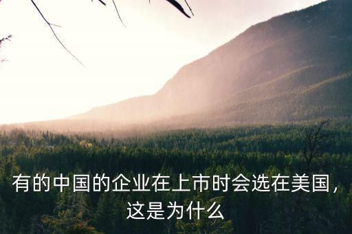 有的中國的企業(yè)在上市時會選在美國，這是為什么
