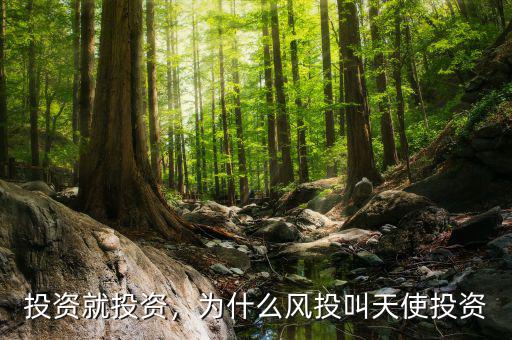 投資就投資，為什么風(fēng)投叫天使投資