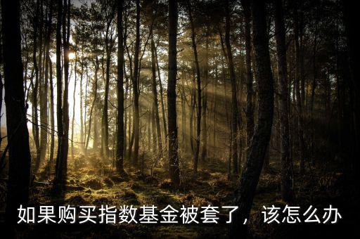 如果購買指數(shù)基金被套了，該怎么辦