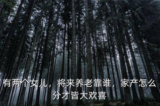 有兩個(gè)女兒，將來養(yǎng)老靠誰，家產(chǎn)怎么分才皆大歡喜
