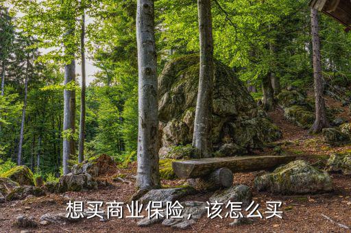 想買商業(yè)保險，該怎么買