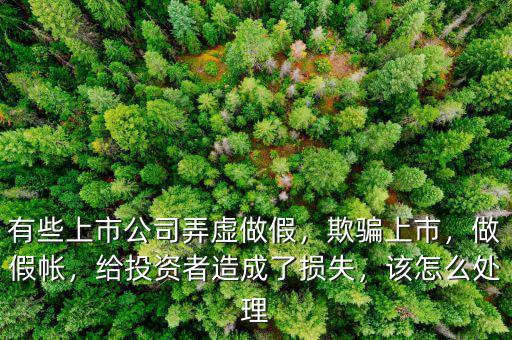 有些上市公司弄虛做假，欺騙上市，做假帳，給投資者造成了損失，該怎么處理