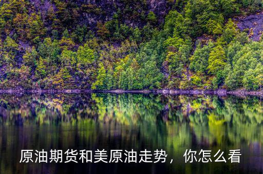 原油期貨和美原油走勢，你怎么看