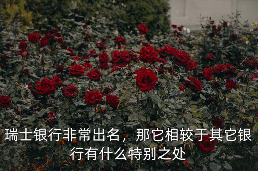 瑞士銀行非常出名，那它相較于其它銀行有什么特別之處