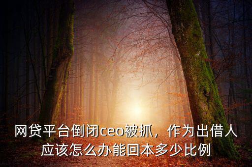 網(wǎng)貸平臺(tái)倒閉ceo被抓，作為出借人應(yīng)該怎么辦能回本多少比例