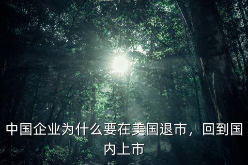 中國企業(yè)為什么要在美國退市，回到國內(nèi)上市