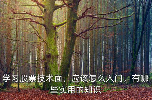 學(xué)習(xí)股票技術(shù)面，應(yīng)該怎么入門，有哪些實用的知識
