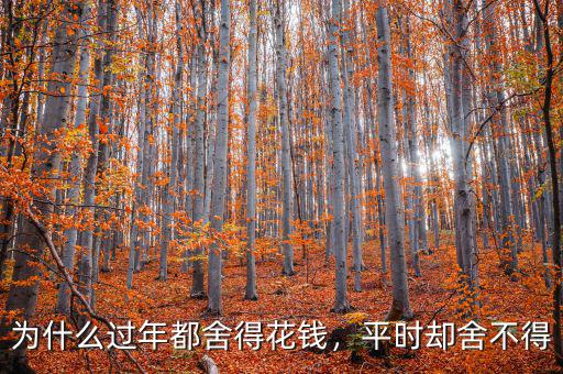 為什么過年都舍得花錢，平時卻舍不得