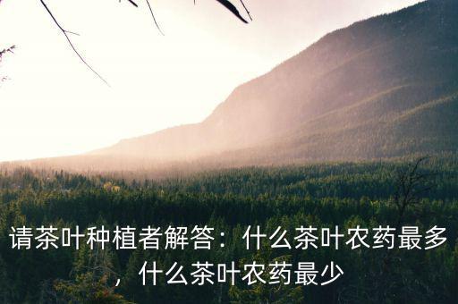 請(qǐng)茶葉種植者解答：什么茶葉農(nóng)藥最多，什么茶葉農(nóng)藥最少