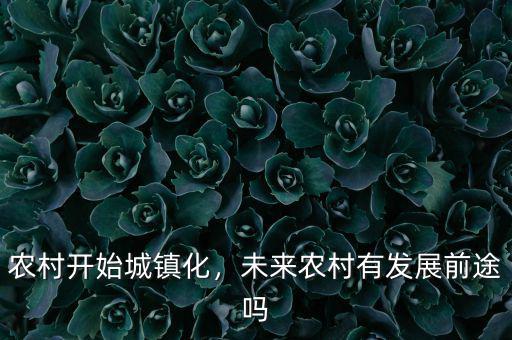 農(nóng)村開始城鎮(zhèn)化，未來農(nóng)村有發(fā)展前途嗎