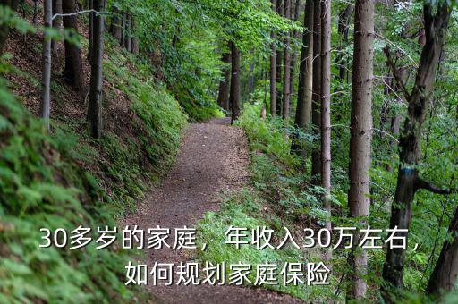 30多歲的家庭，年收入30萬左右，如何規(guī)劃家庭保險(xiǎn)