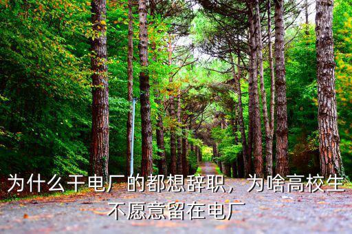 為什么干電廠的都想辭職，為啥高校生不愿意留在電廠