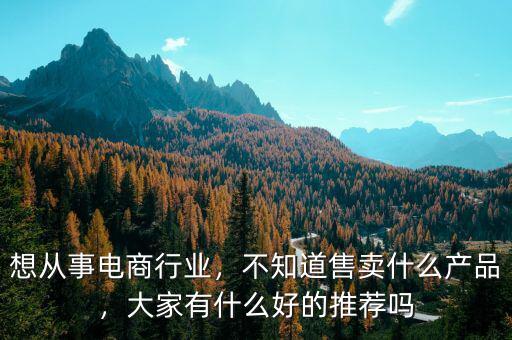 想從事電商行業(yè)，不知道售賣什么產(chǎn)品，大家有什么好的推薦嗎