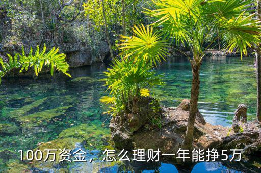100萬資金，怎么理財一年能掙5萬