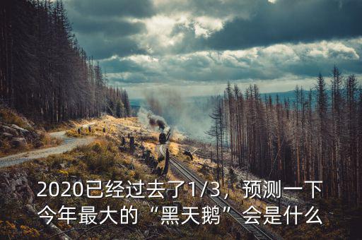 2020已經(jīng)過(guò)去了1/3，預(yù)測(cè)一下今年最大的“黑天鵝”會(huì)是什么