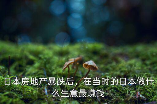 日本房地產(chǎn)暴跌后，在當(dāng)時(shí)的日本做什么生意最賺錢