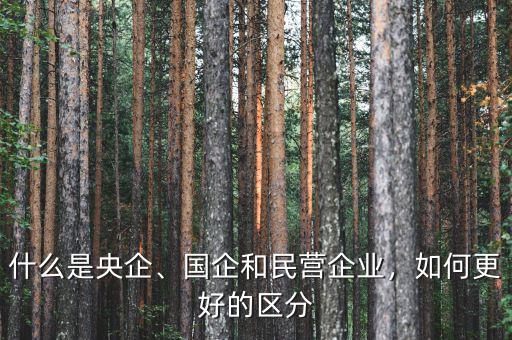 什么是央企、國企和民營企業(yè)，如何更好的區(qū)分