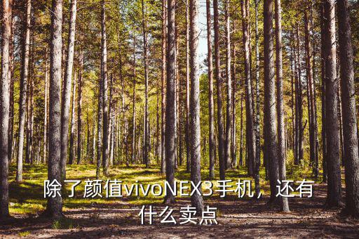 步步高手機(jī)賣點是什么,還有什么賣點