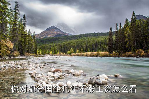 你對(duì)部分國企幾年不漲工資怎么看
